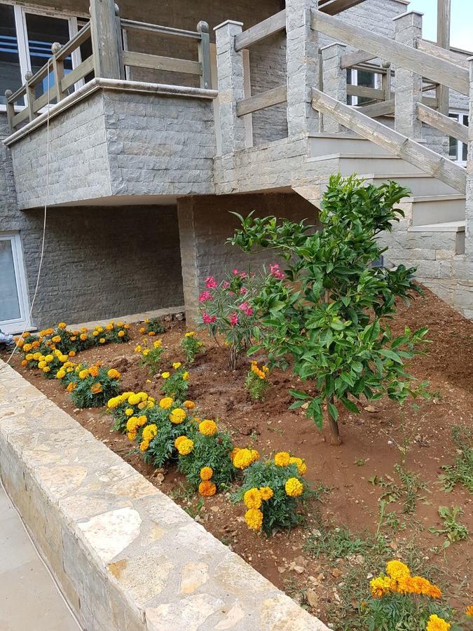 Sofia'S Holiday Apartment Vlorë Εξωτερικό φωτογραφία